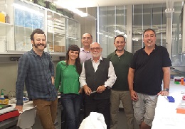 Josema Torres, Salva Martí, Carlos López, Xavier Ponsoda, Marian León, Javier Prieto.